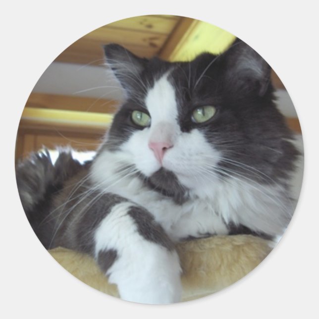 Adesivo Redondo Bordador (Frente)