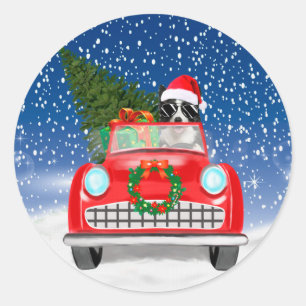 Adesivo Redondo Border Collie Cão Dirigindo Carro Na Neve Natal