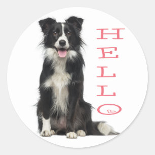 ADESIVO REDONDO BORDER COLLIE FILHOTE DE CÃO PRETO E BRANCO OI ROS