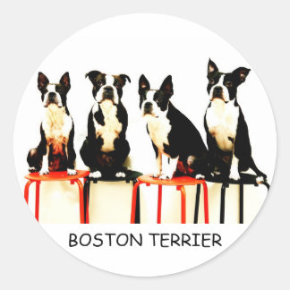 ADESIVO REDONDO BOSTON TERRIER