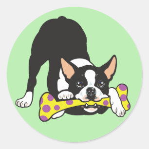 Adesivo Redondo Boston Terrier. Feliz, sorte