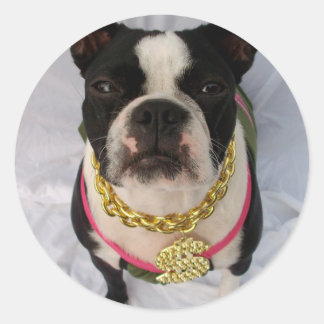 Adesivo Redondo Boston Terrier Rapper