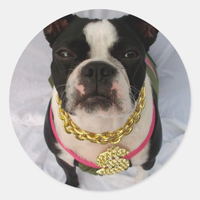 Adesivo Redondo Boston Terrier Rapper (Frente)