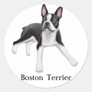 Adesivo Redondo Boston Terrier Sticker
