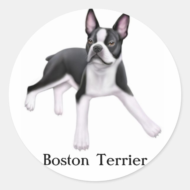 Adesivo Redondo Boston Terrier Sticker (Frente)
