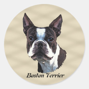 Adesivo Redondo Boston Terrier v3