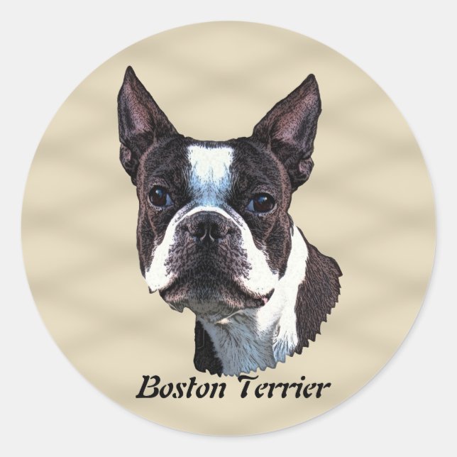Adesivo Redondo Boston Terrier v3 (Frente)