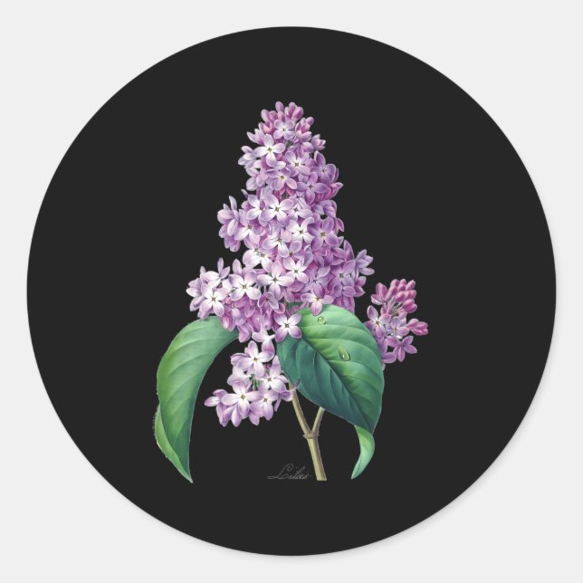 Adesivo Redondo Botânica De Flor Lilac Para Jardineiros (Frente)