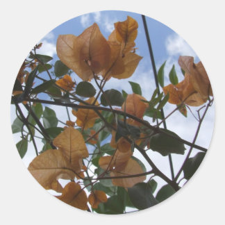 Adesivo Redondo Bougainvillea Branch Sticker