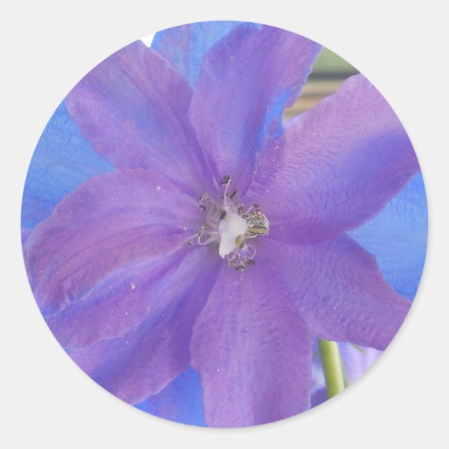 Adesivo Redondo Bowen (Frente)