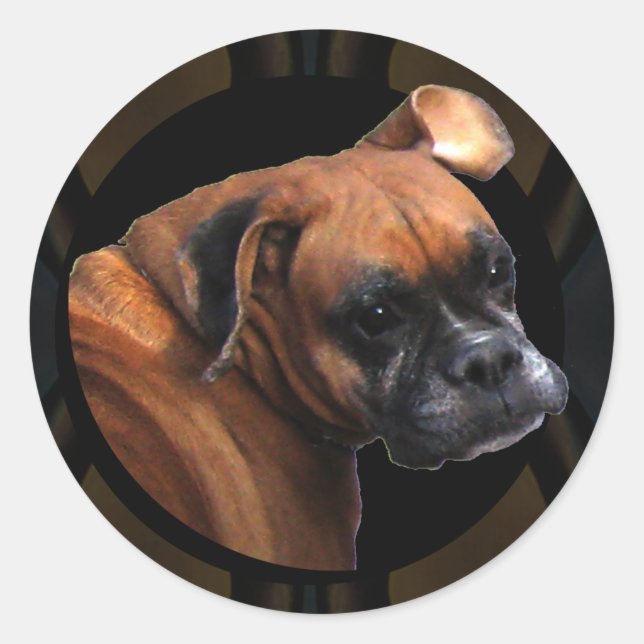 Adesivo Redondo Boxer Dog Stickers (Frente)