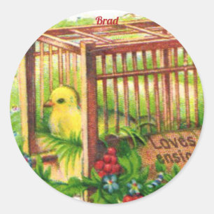 Adesivo Redondo BRAD ~ PINTINHO ~ Arte Vintage Bonita