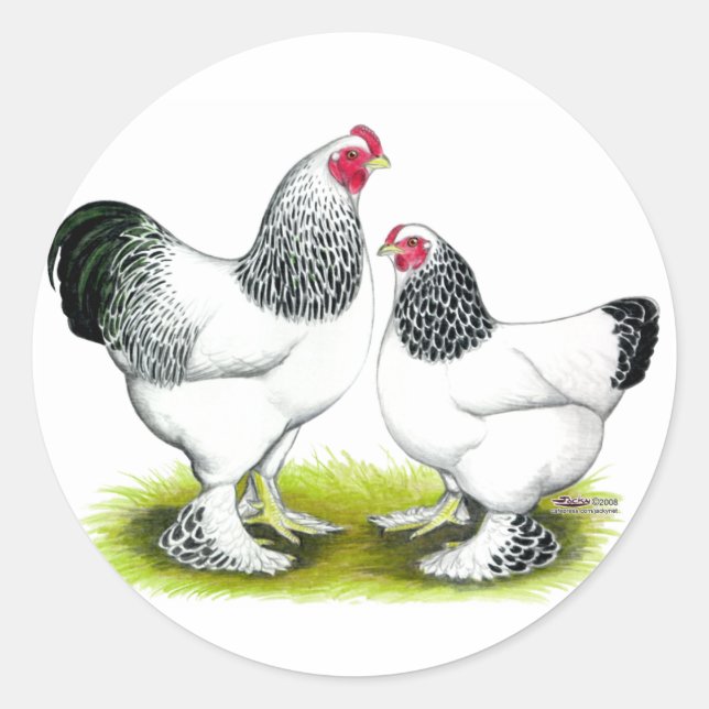 Adesivo Redondo Brahma: Luz (Frente)