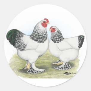 Adesivo Redondo Brahma: Luz2