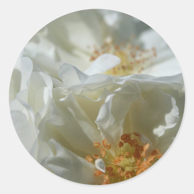 Adesivo Redondo Branco Doce 1 (Frente)