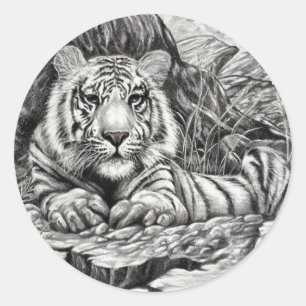 Adesivo Redondo BRANCO TIGER por Diana S Martin