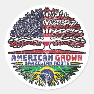 Adesivo Redondo Brasil Brasil EUA EUA EUA EUA Estados Unidos