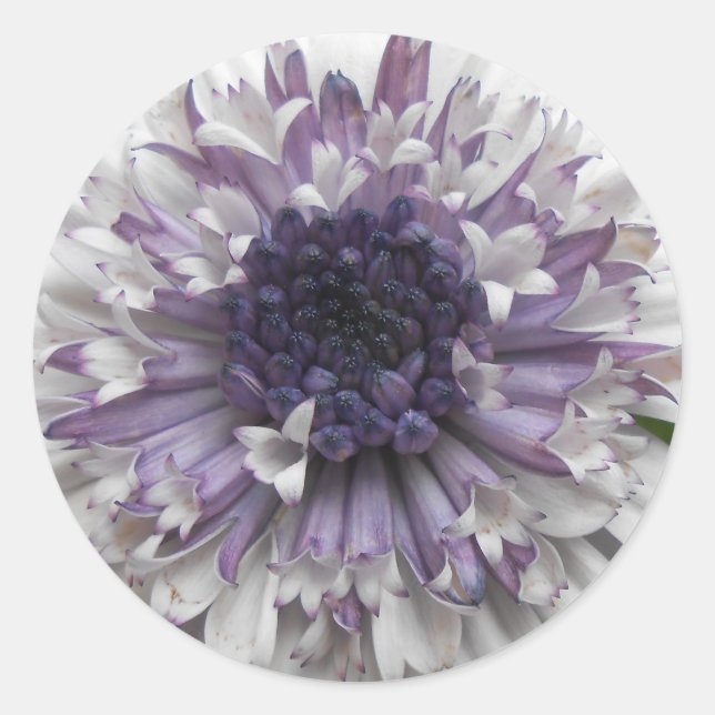 Adesivo Redondo Brett (Frente)