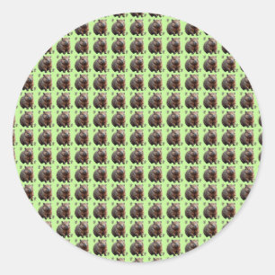 Adesivo Redondo Brickwork Burrow: Uma Canvas Verde da Mulher,