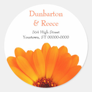 Adesivo Redondo Bright Daisy Stickers