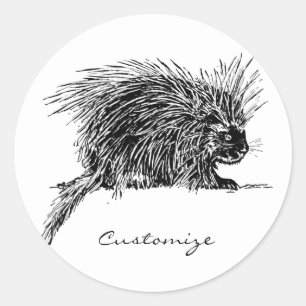 Adesivo Redondo Brilhante e giro Thunder_Cove Hedgehog