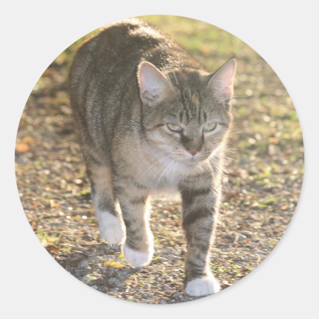 Adesivo Redondo Brin (Frente)