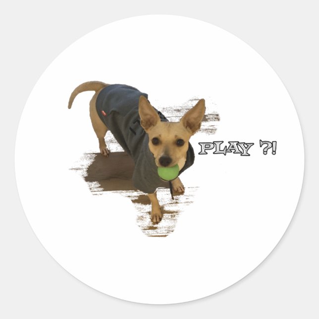 Adesivo Redondo Brincar? (Frente)