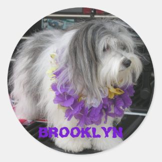 ADESIVO REDONDO BROOKLYN PURPER HAWAII STICKERS