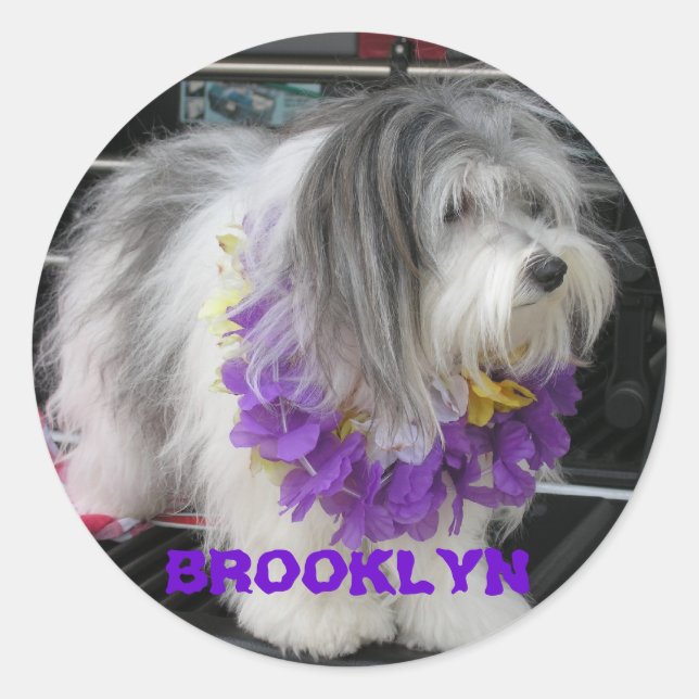 ADESIVO REDONDO BROOKLYN PURPER HAWAII STICKERS (Frente)