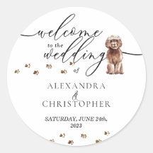 Brown Cavapoo cachorrinho Cachorro Boas-vindas