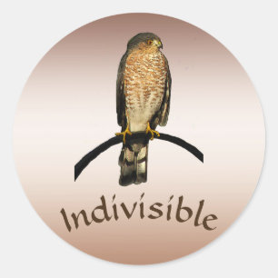 Adesivo Redondo Brown Hawk Indivisíveis Stickers