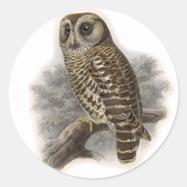 Adesivo Redondo Brown Owl (Frente)