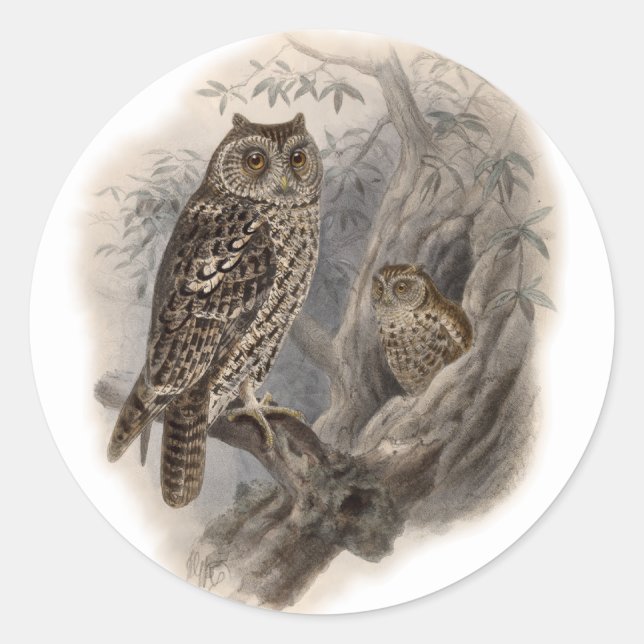 Adesivo Redondo Brown Owl (Frente)