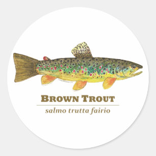 Adesivo Redondo Brown Trout Ichthyology Latino