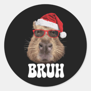 Adesivo Redondo Bruh Capybyra Funny Santa Hábito Boné de Natal