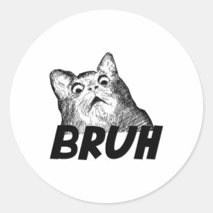 Adesivo Redondo Bruh Chocou Gato Gato Engraçado