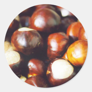 Adesivo Redondo Buckeyes de Ohio