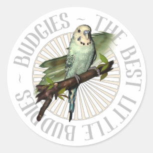 Adesivo Redondo Budgies os melhores amigos pequenos