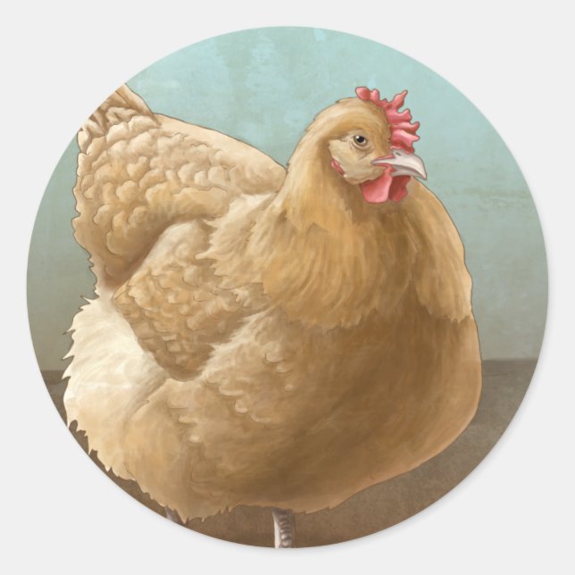 Adesivo Redondo Buff Orpington Hen Stickers (Frente)