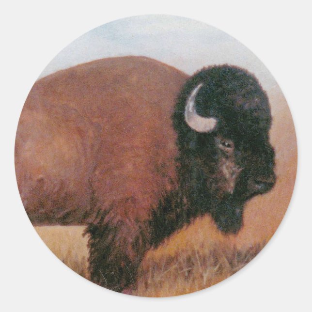Adesivo Redondo Buffalo (Frente)