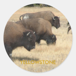 Adesivo Redondo Buffalo Yellowstone Sticker