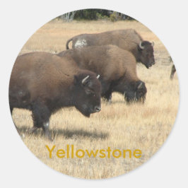 Adesivo Redondo Buffalo Yellowstone Sticker