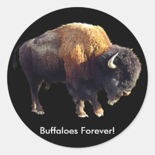 Adesivo Redondo Buffalos Para Sempre! Bison Lover Art Stickers
