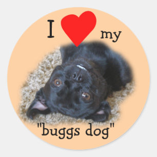 Adesivo Redondo Buggs Dog Stickers-sua foto ou minha