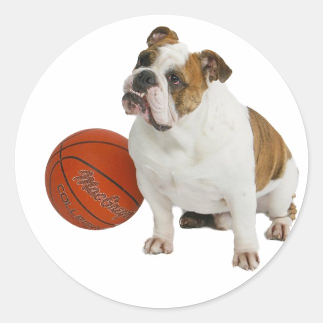 Adesivo Redondo Buldogue Inglês com Basquete (Frente)