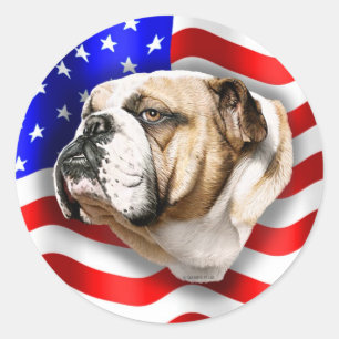 Adesivo Redondo Buldogue Patriot EUA Flag