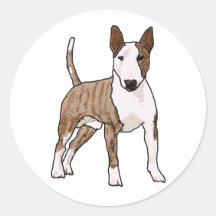 Bull Terrier inglês