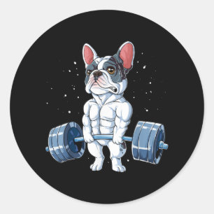 Adesivo Redondo Bulldog Francês Levantando Engraçado Giro-Morro