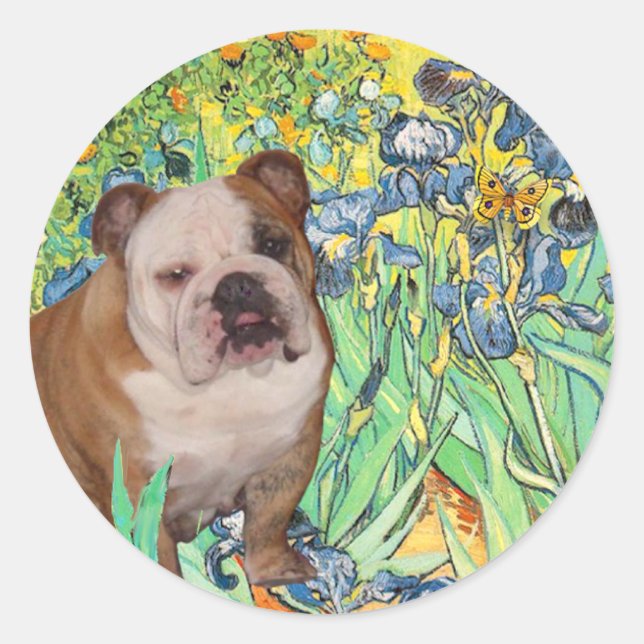 Adesivo Redondo Bulldog Inglês 1 - Íris (Frente)
