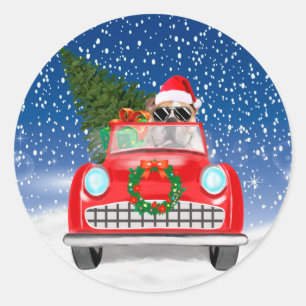 Adesivo Redondo Bulldog Inglês Dirigindo Carro na Neve Natal